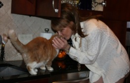 Renee Reyes - Love Kitty